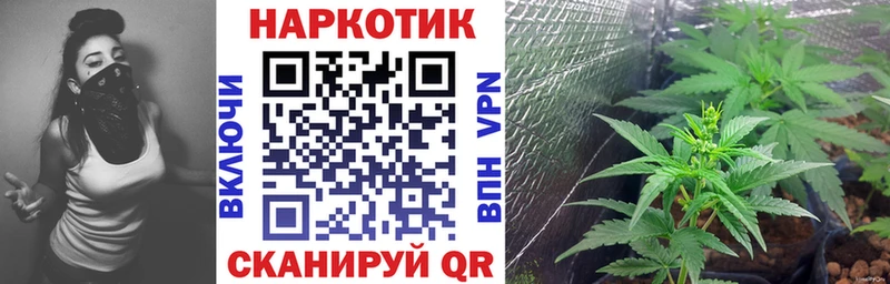 Где можно купить наркотики Магас Гашиш NBOMe МЕФ Кокаин СК